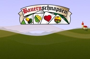 Bauernschnapsen