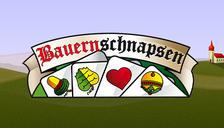 Bauernschnapsen