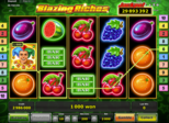 Blazing Riches Paytable