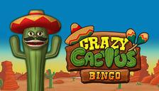 Crazy Cactus Bingo