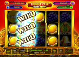 Thunder Cash™ Fruity Fruity Paytable